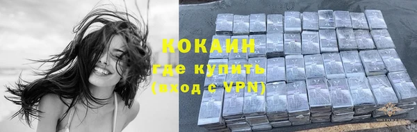 винт Липки