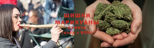 МДПВ Куртамыш