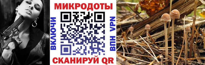 Псилоцибиновые грибы GOLDEN TEACHER  Невьянск 